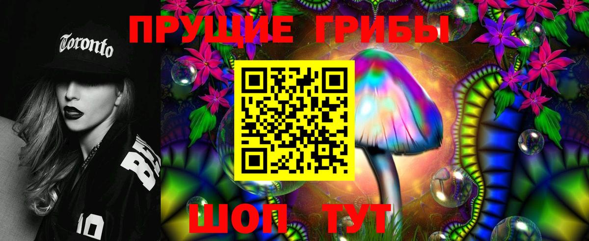 Псилоцибиновые грибы прущие грибы  Галлюциногенные грибы Cubensis  Гурьевск  где купить наркотик  Вход с VPN 