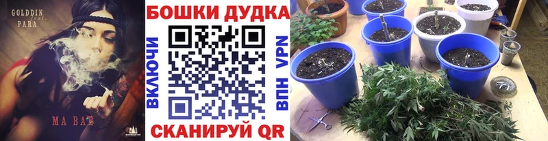 где продают   Гурьевск  Марихуана марихуана 